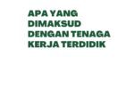 Apa Yang Dimaksud Dengan Tenaga Kerja Terdidik 
