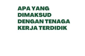 Apa Yang Dimaksud Dengan Tenaga Kerja Terdidik Apa Yang Dimaksud Dengan Tenaga Kerja Terdidik